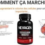 Nexagen Belgique Profile Picture