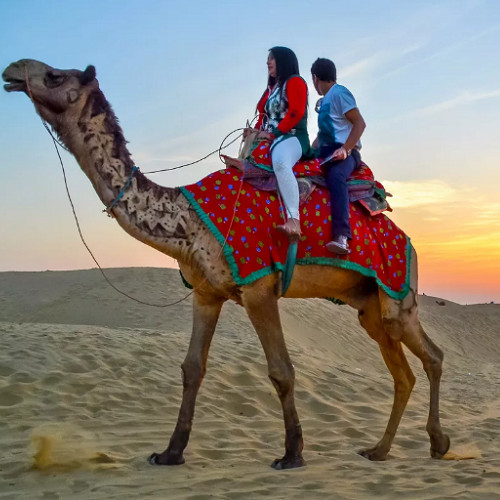 jaisalmereasy Profile Picture