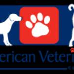 American veterinery profile picture