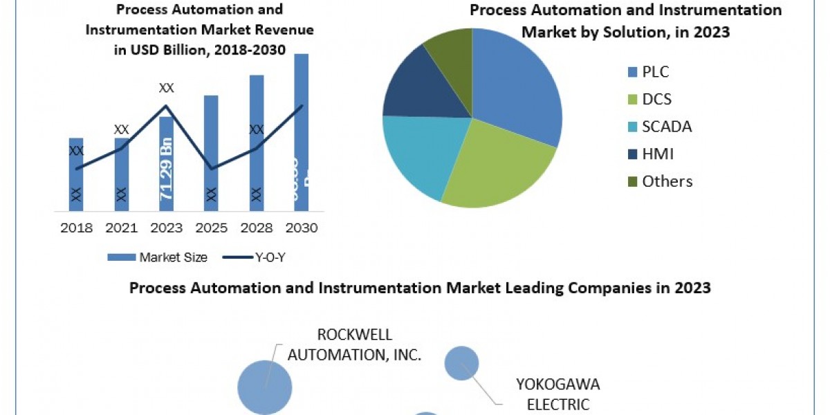 Process Automation and Instrumentation Market