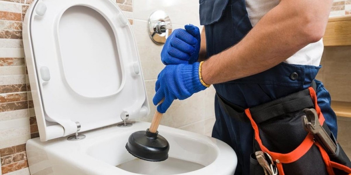 Toilet Repair Services in canada