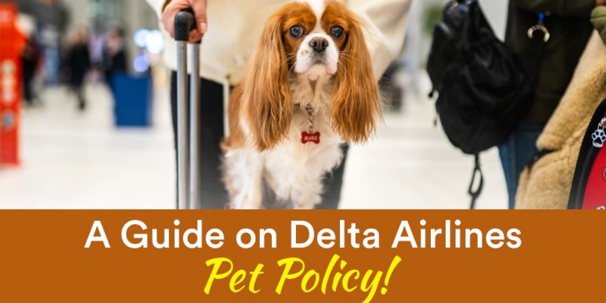 A Guide on Delta Airlines Pet Policy!