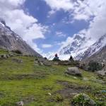 Rohan Rawat Profile Picture