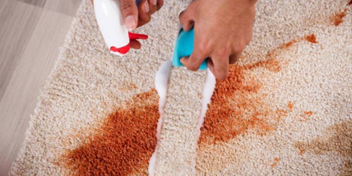 How to Clean Rugs for Allergy Relief in NY?
