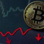 Rozaxfin Offizielle Website Profile Picture