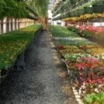 Greenwood Nursery Profile Picture