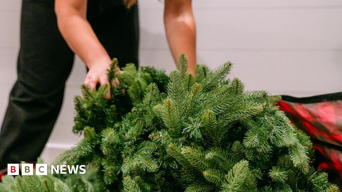 Christmas orders back on track after tariff truce - BBC News