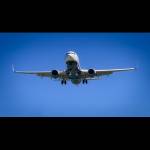compare wings Profile Picture