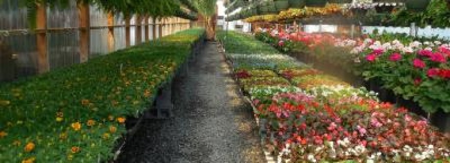 Greenwood Nursery Cover Image