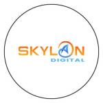 Skylan Digital Profile Picture