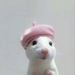 Felicia33 Profile Picture
