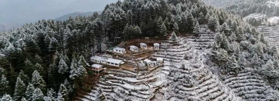 The Deodar Stays Cover Image