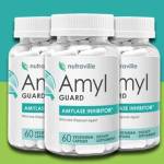 Amyl Guard Support Weight Management Profile Picture