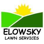 Elowsky Law Services of Michigan Inc Profile Picture