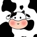 SylviaSosa Profile Picture
