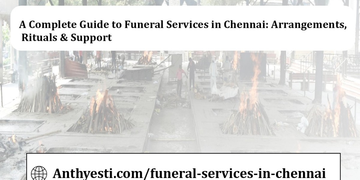 Article Picture