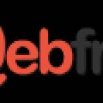 Webfries Leading Digital Marketing Servic Profile Picture