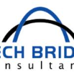 Techbridge consultancy Profile Picture