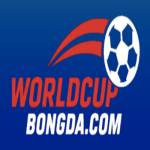 worldcupbongda Profile Picture