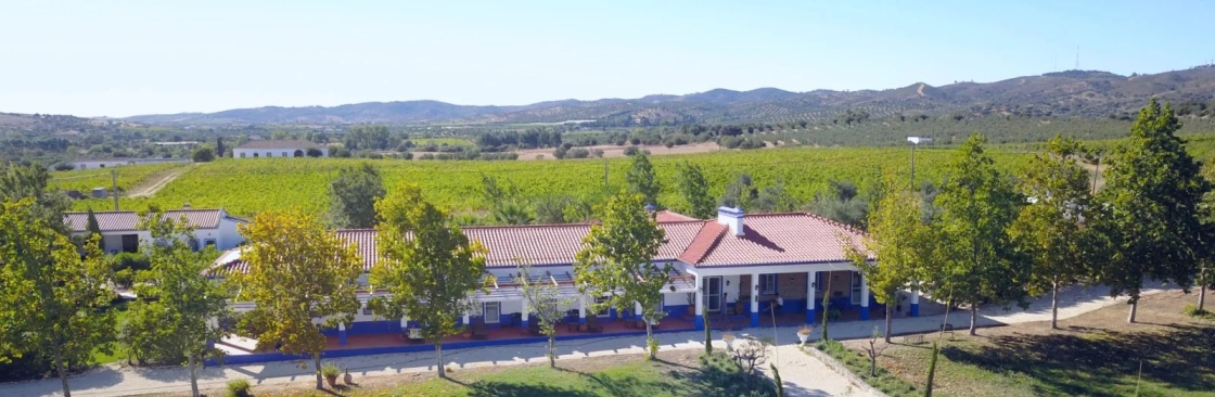 Ibogaine Treatment Center Cover Image