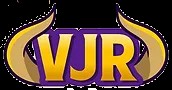 Viking Junk Removal Profile Picture