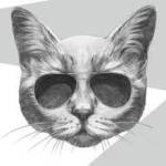 ron swon Profile Picture