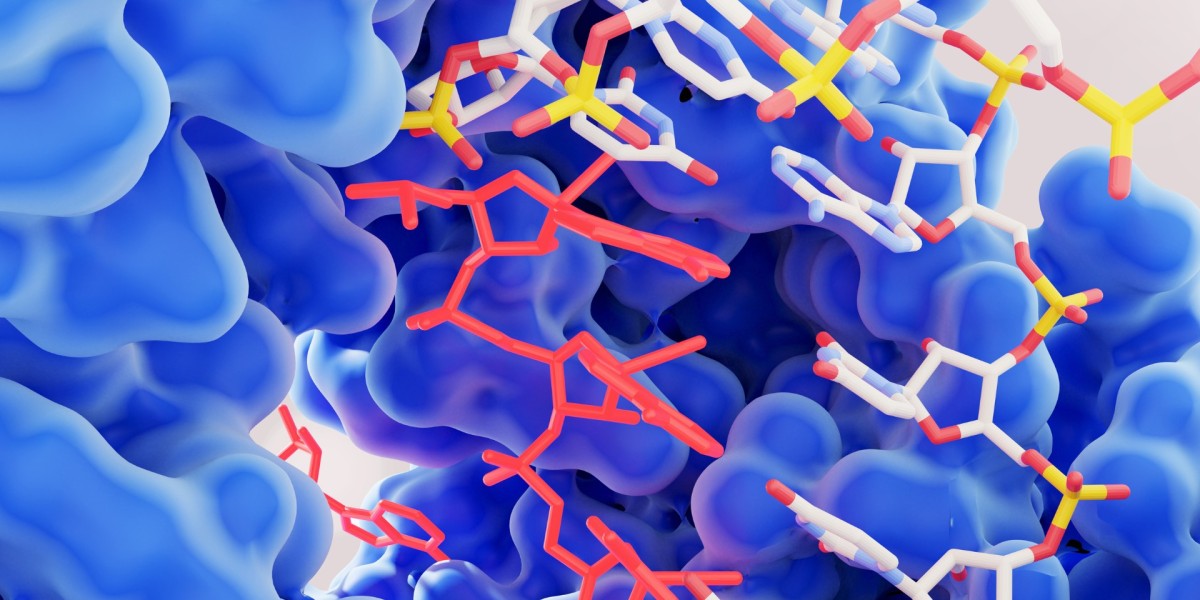 North America Industrial Enzymes Market