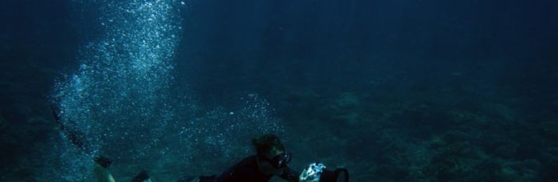Petro Divers Cover Image