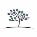Your Spring Family Dental Profile Picture