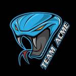 Team Inc Profile Picture