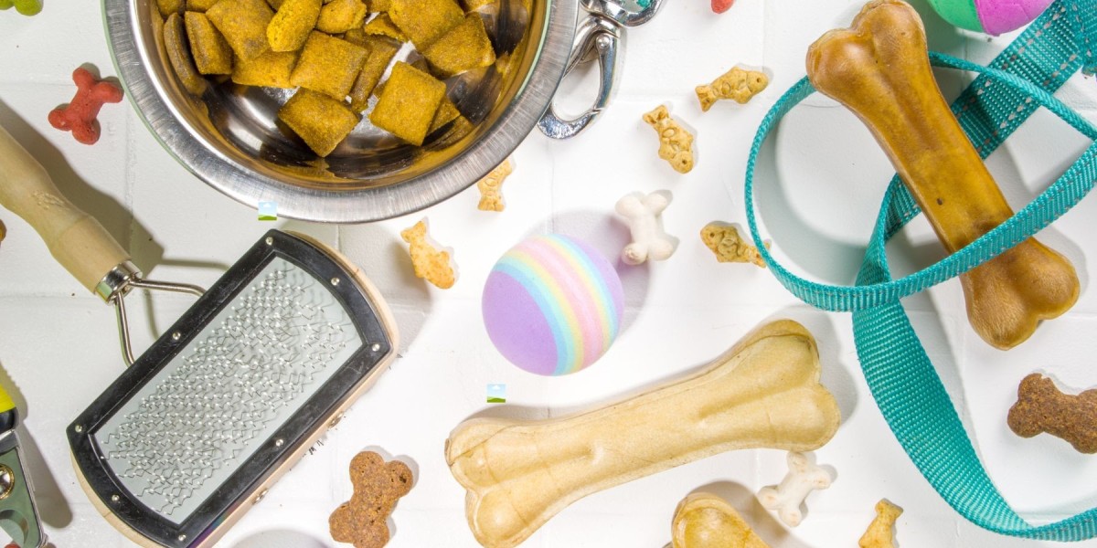 Modern Pet Care Products for Smarter, Happier