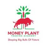 moneyplanttradingacademy Profile Picture