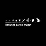 BIRDERS on the ROAD Profile Picture