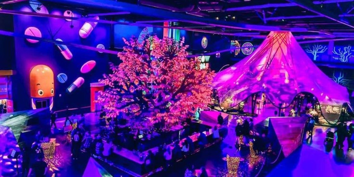 Area 15: Las Vegas' Immersive Playground of Art