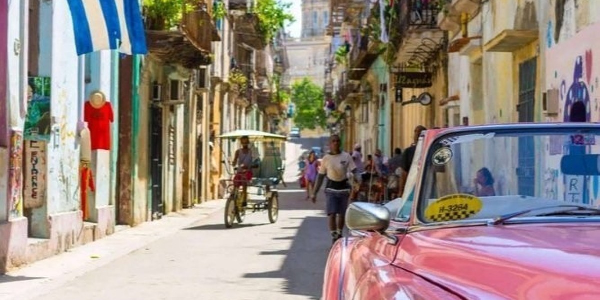 Vive Mas Tours: Unlock Your Passport to New Wor