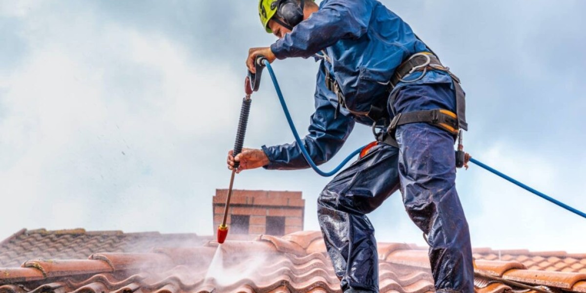 How Regular Roof Cleaning Extends Your Roof’s L