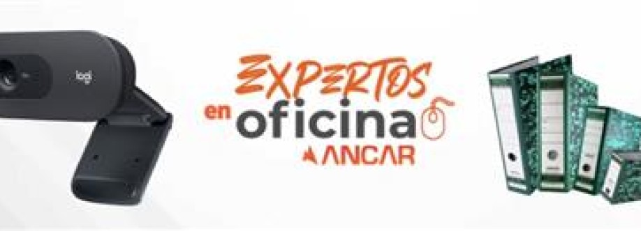Expertos en Oficina Grupo Ancar Cover Image