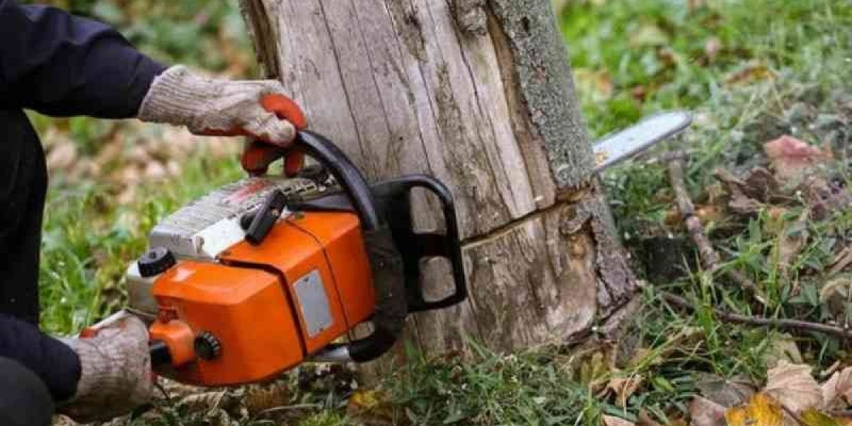 Tree Removal: A Complete Guide to Safe