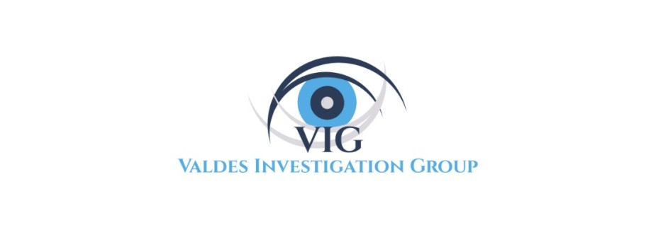Valdes Investigation Group Cover Image