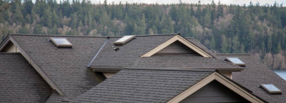 Texas Professional Roofing Cover Image