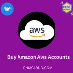 Buy Amazon AWS Account Profile Picture