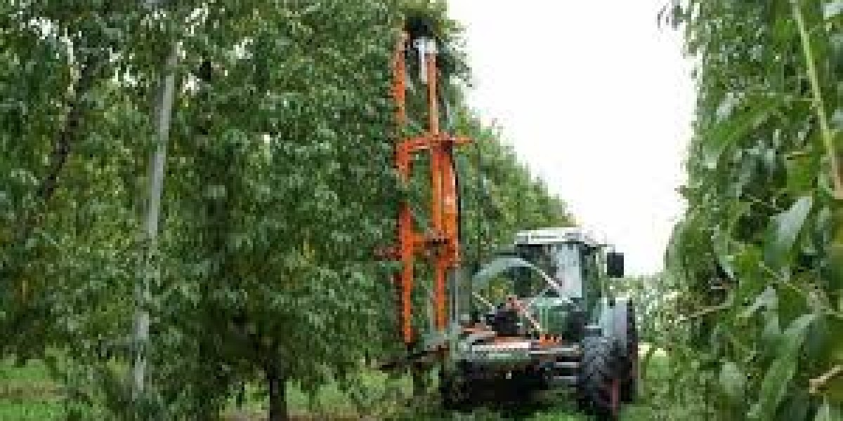 Harvest-Ready: How Orchard Gear is Transforming