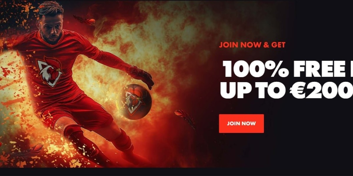 Why Roosterbet Is Becoming the Talk of the Town