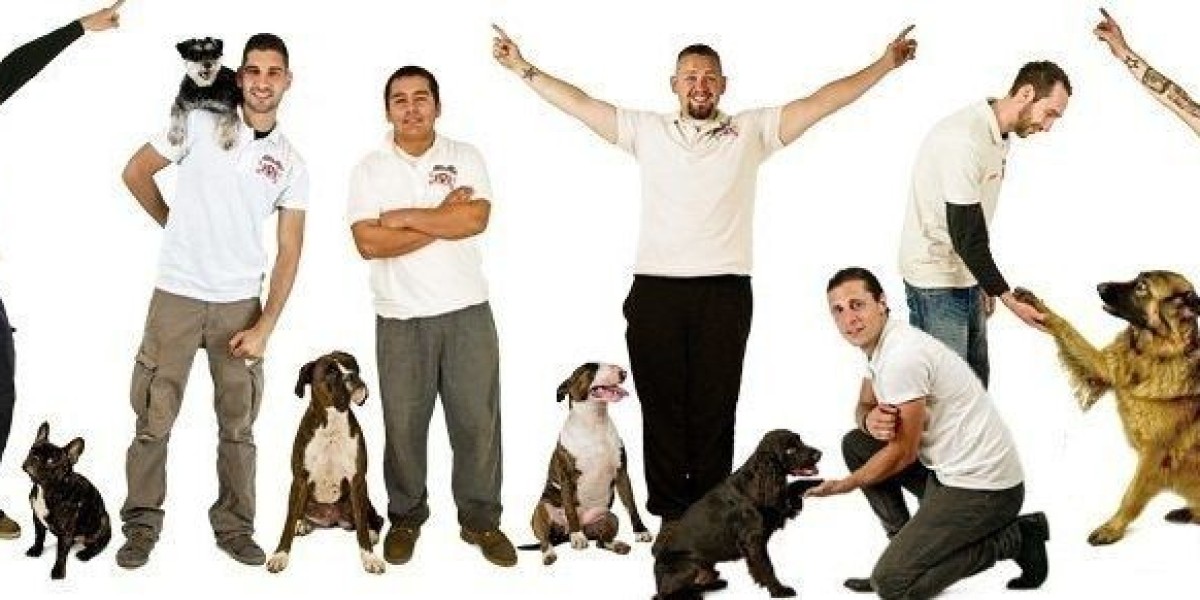 Beyond Doggy Daycare  The Halo Dogs Adventure