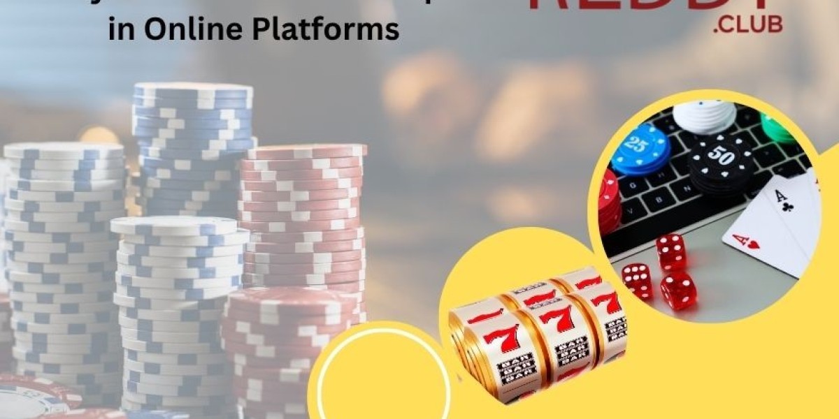 Reddybook.win: A New Chapter in Online Platform