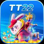 tt22gamecombr Profile Picture