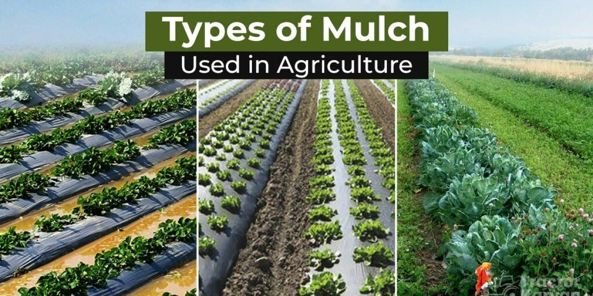 Explore Mulching Methods and Their Different Ty