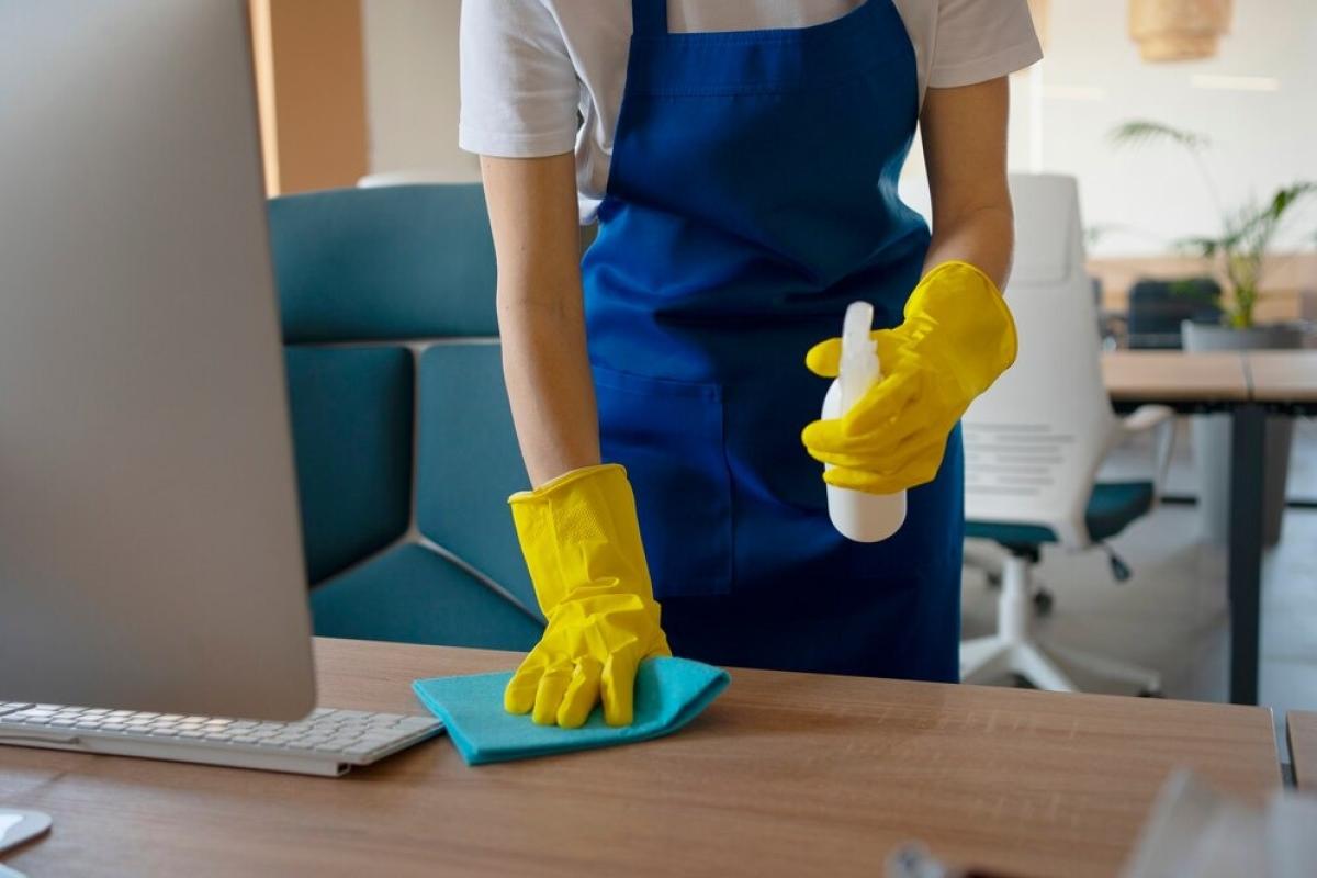 5 Common Mistakes To Avoid For Choosing The Right Home Cleaning Services In Plano | Author The Maid Place | Sociomix