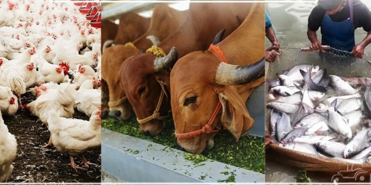 The Importance of Animal Husbandry and Its Type