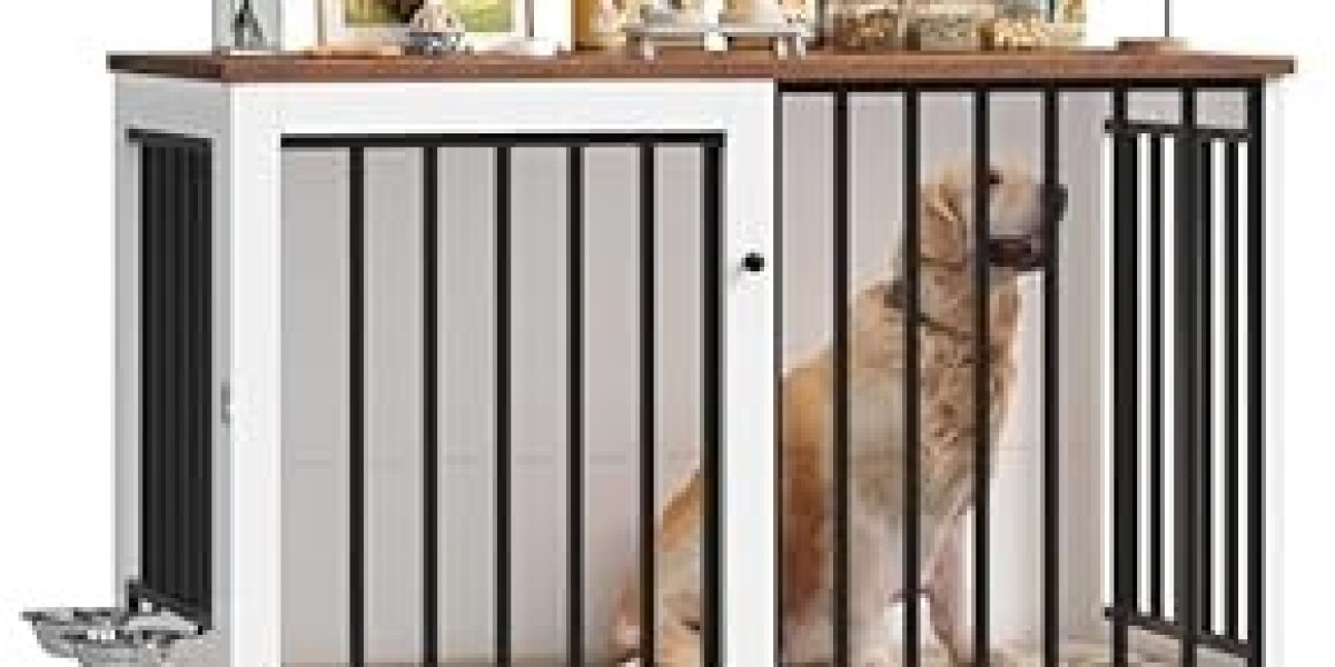 The Rise of Pet Fashion: Why It’s More Than Jus
